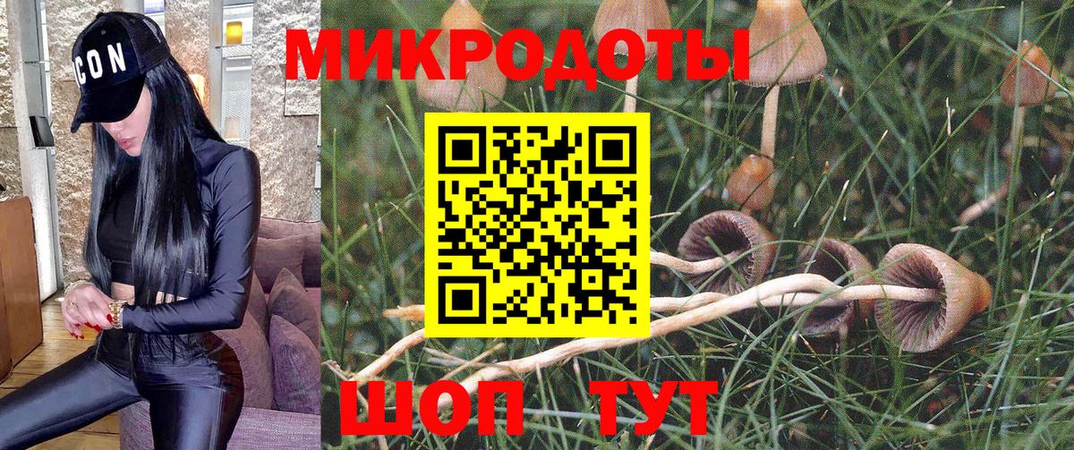 Псилоцибиновые грибы Карачаевск